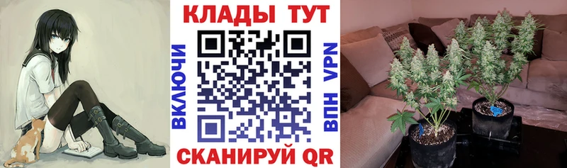 Наркота Задонск ссылка на мегу ССЫЛКА Мефедрон Бутират ГАШИШ КОКАИН Канабис