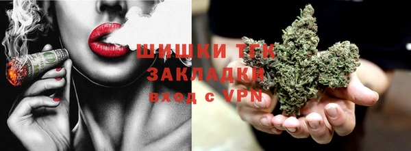 прущие грибы Балахна