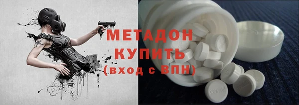 прущие грибы Балахна