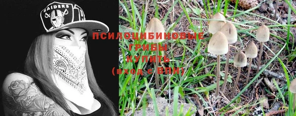 прущие грибы Балахна