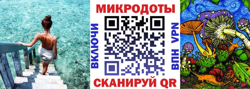 наркота  Задонск  Галлюциногенные грибы Psilocybe 